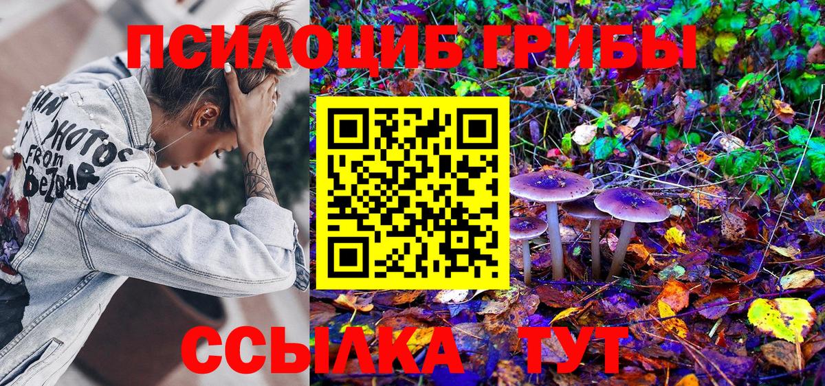 Псилоцибиновые грибы GOLDEN TEACHER Еманжелинск