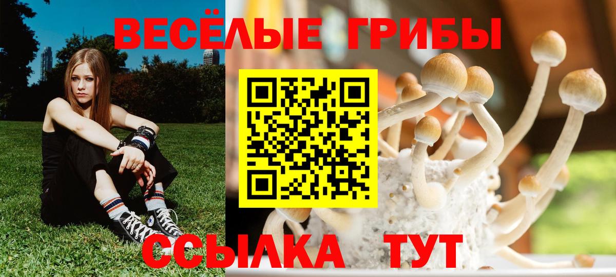 Галлюциногенные грибы Psilocybe  Галлюциногенные грибы мухоморы  Еманжелинск  Вход с VPN 